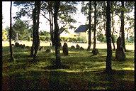 Gravfeltet på Elgesem